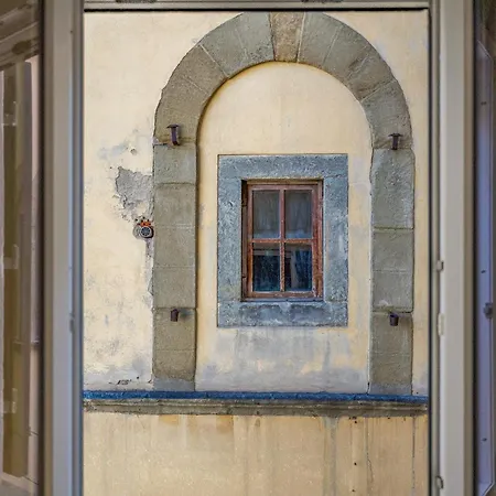 Passera History View C&g