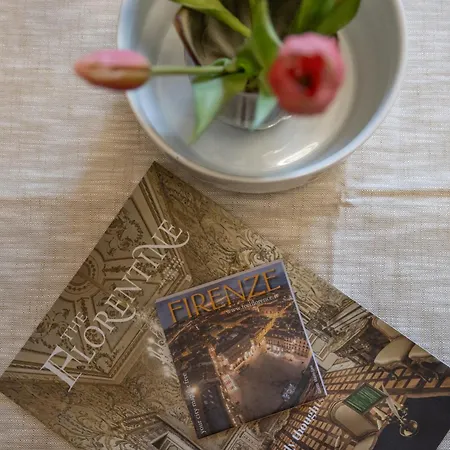 Passera History View C&g * Florence