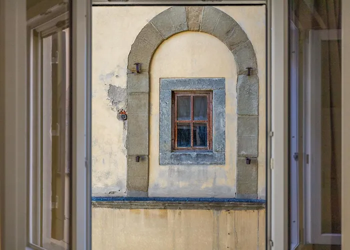 Passera History View C&g